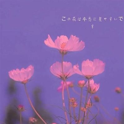 雷佳音询问“阴阳合同” 经纪人一句话回怼太搞笑